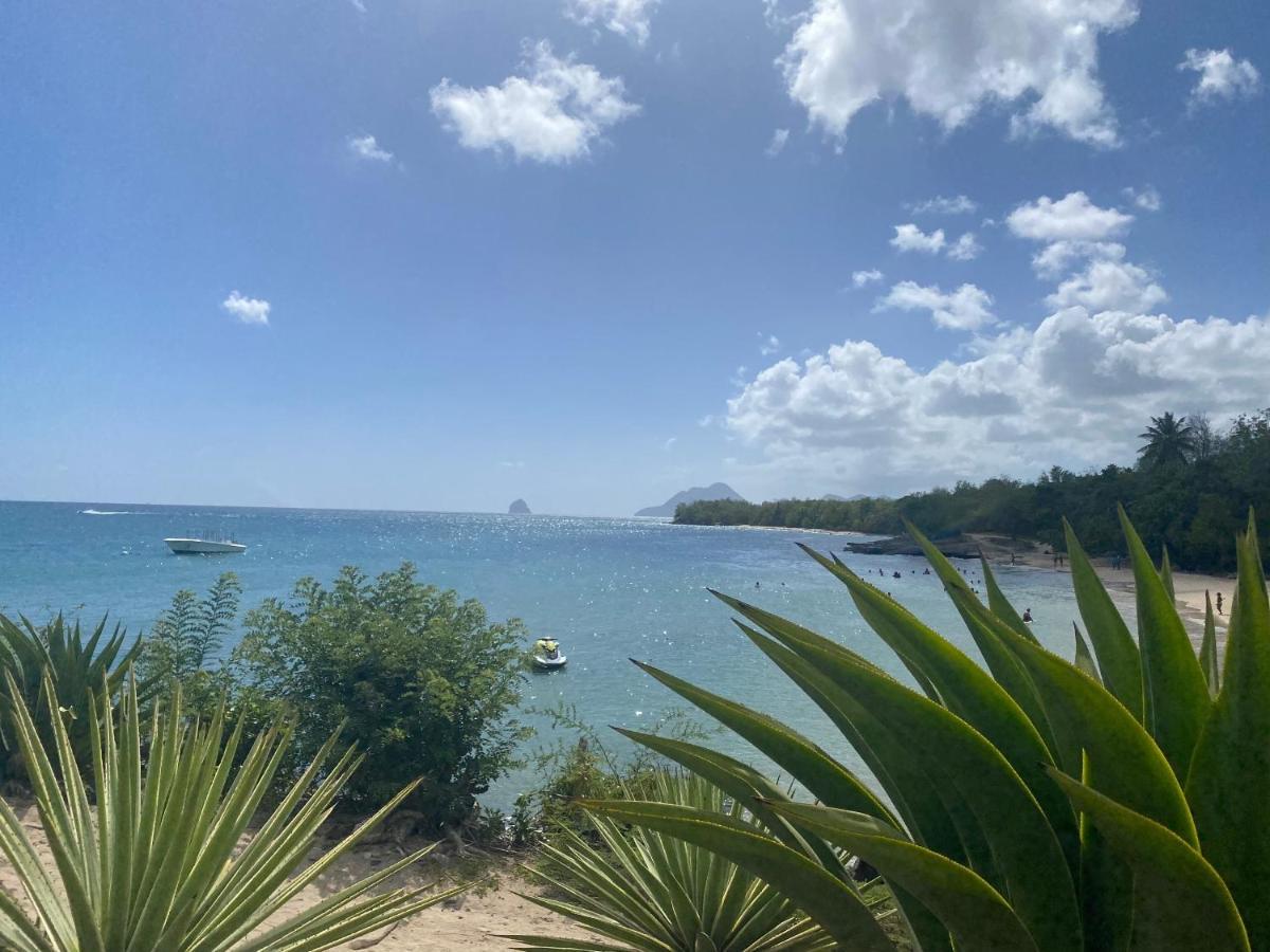 Studio Rdc La Desirade Martinique Acces Direct Plage Sainte-Luce Bagian luar foto