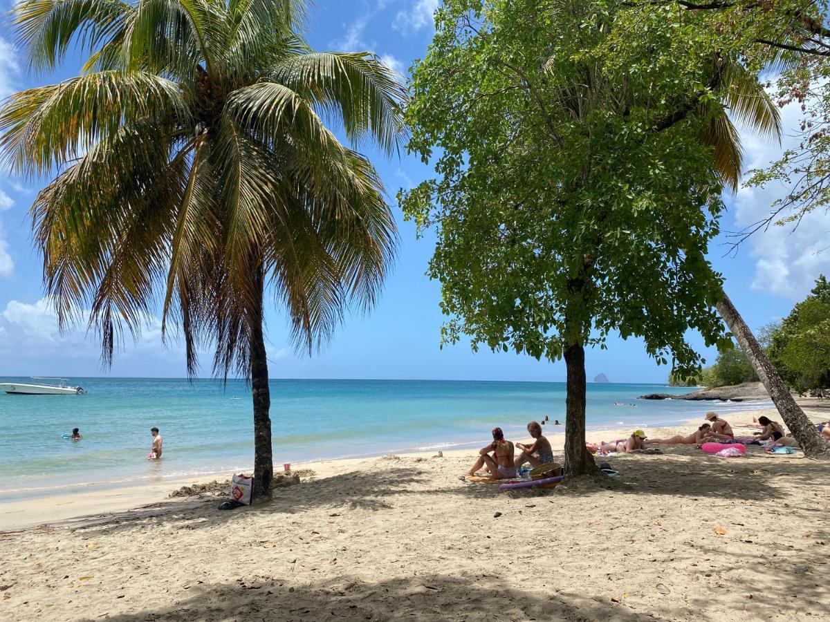 Studio Rdc La Desirade Martinique Acces Direct Plage Sainte-Luce Bagian luar foto